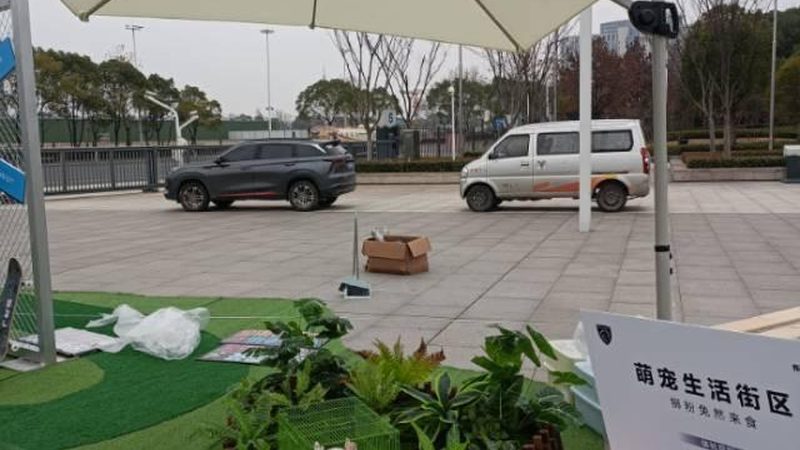 慶典策劃品牌加盟代理費用：揭秘加盟背后的成本構成